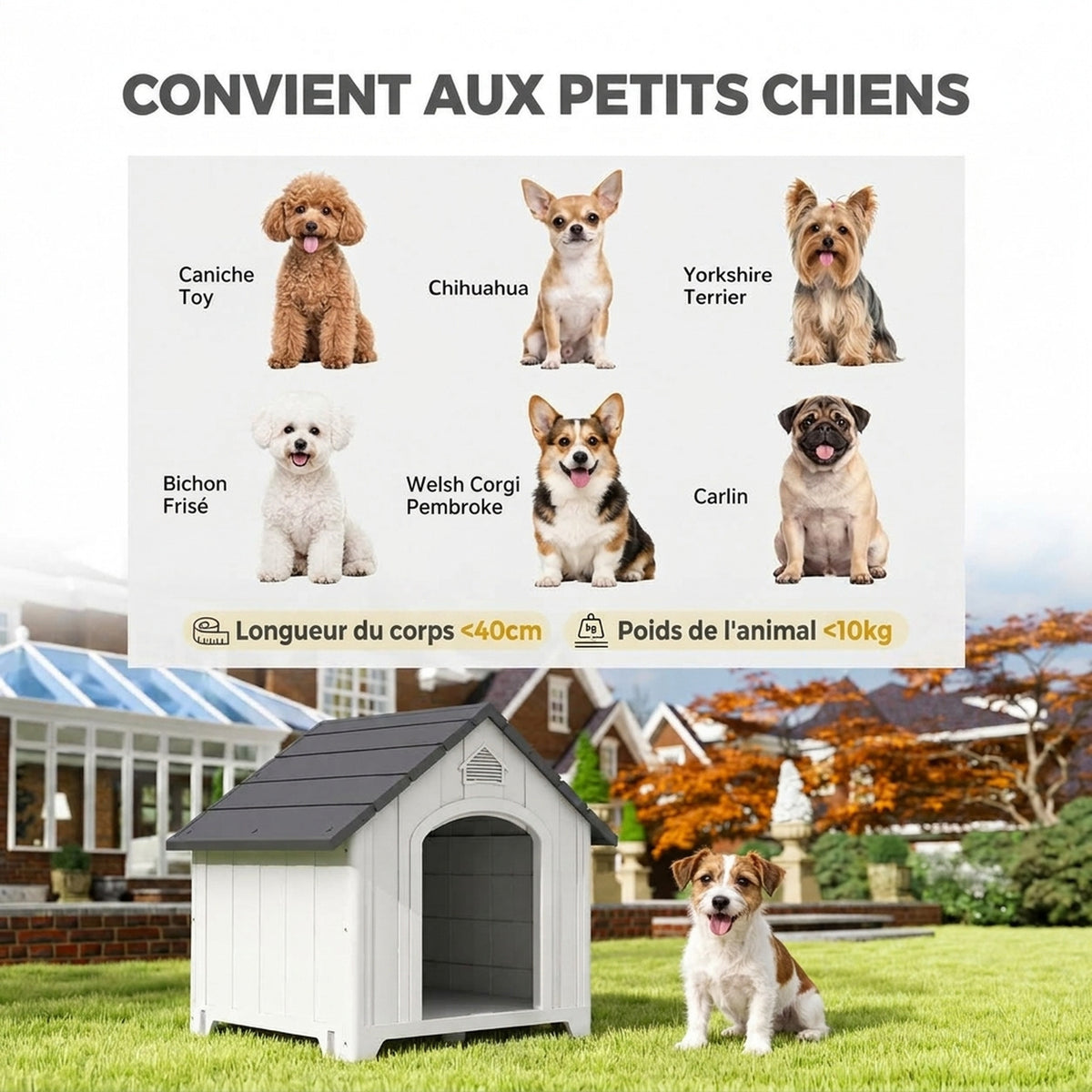 Niche pour chien extérieur, maison chien en polypropylène imperméable ventilé plancher surélevé 66x55x65cm gris clair-4