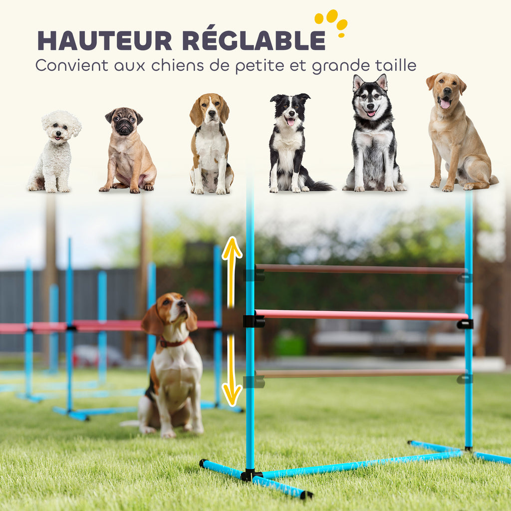 Agility Sport pour Chiens, Set de 4 Obstacles Professionnels avec Système de Maintien au Sol, 99x65x94cm, Bleu Clair-3