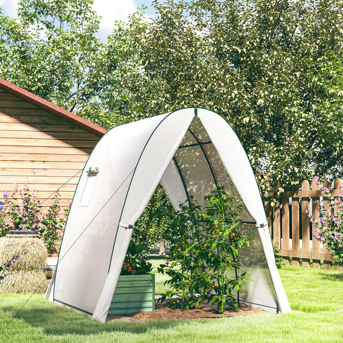 Serre de jardin 1,8 x 1,8 x 2 m avec portes enroulables et grandes fenêtres, serre tunnel de jardin, blanc-1