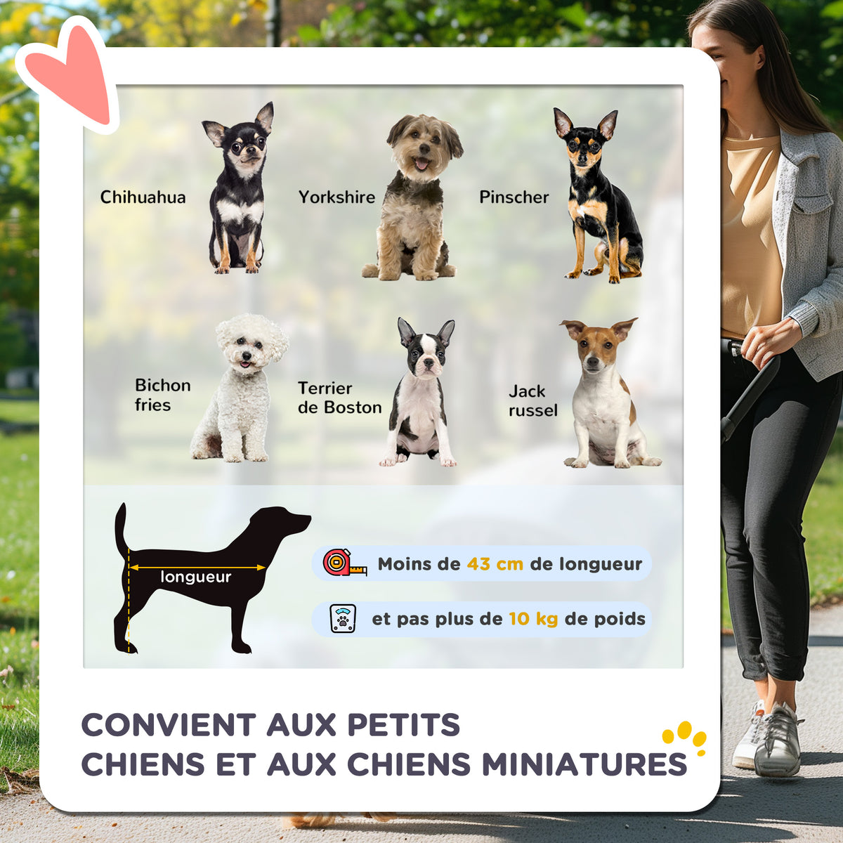 Poussette pour chien animaux de compagnie pliable 4 roues EVA guidon réglable panier 76,5 x 52 x 95 cm-3