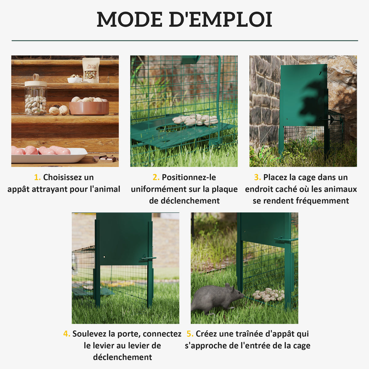 Cage attrape animaux nuisibles 1 entrée dim. 100L x 25l x 28H cm vert foncé-3