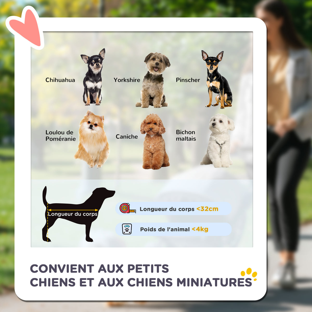 Poussette pour chien et chat pliable, 4 roues avec freins, tissu Oxford 300D imperméable, panier de rangement, gris-3