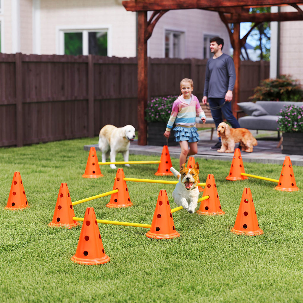 Ensemble d'Agilité pour Chien 6 Pièce, Parcours d'Obstacle hauteur réglable avec Sac de Transport, Orange-1