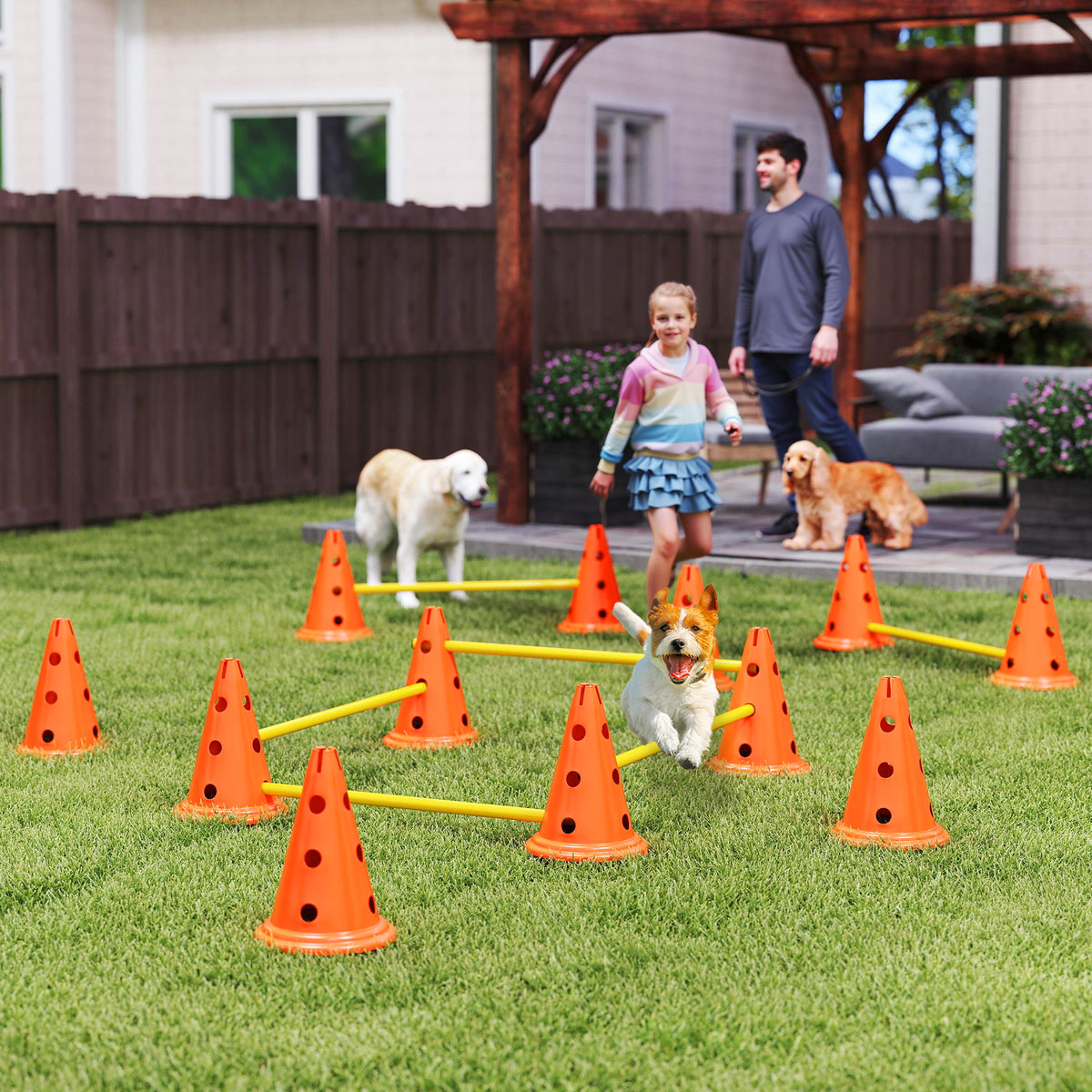 Ensemble d'Agilité pour Chien 6 Pièce, Parcours d'Obstacle hauteur réglable avec Sac de Transport, Orange-1