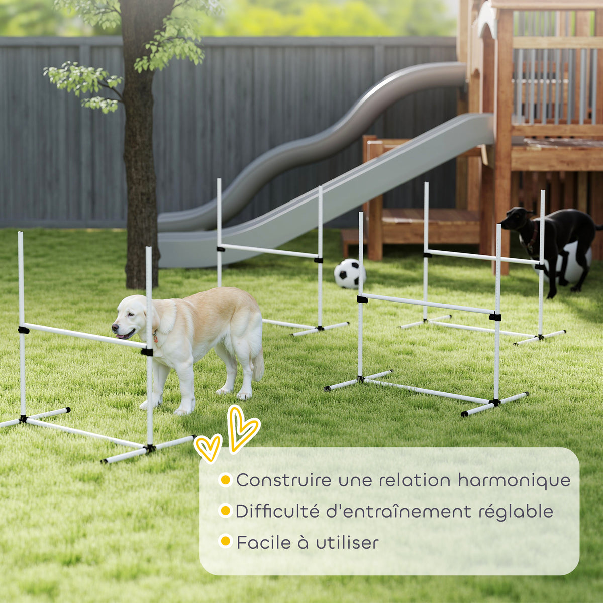 Agility pour Chiens, Kit Agility Chien Parcours, Set de 4 Obstacles Professionnels Hauteur Réglable, Système de Maintien au Sol, Sac de Transport, Jeux Intéressants, Entraînement, Blanc-6