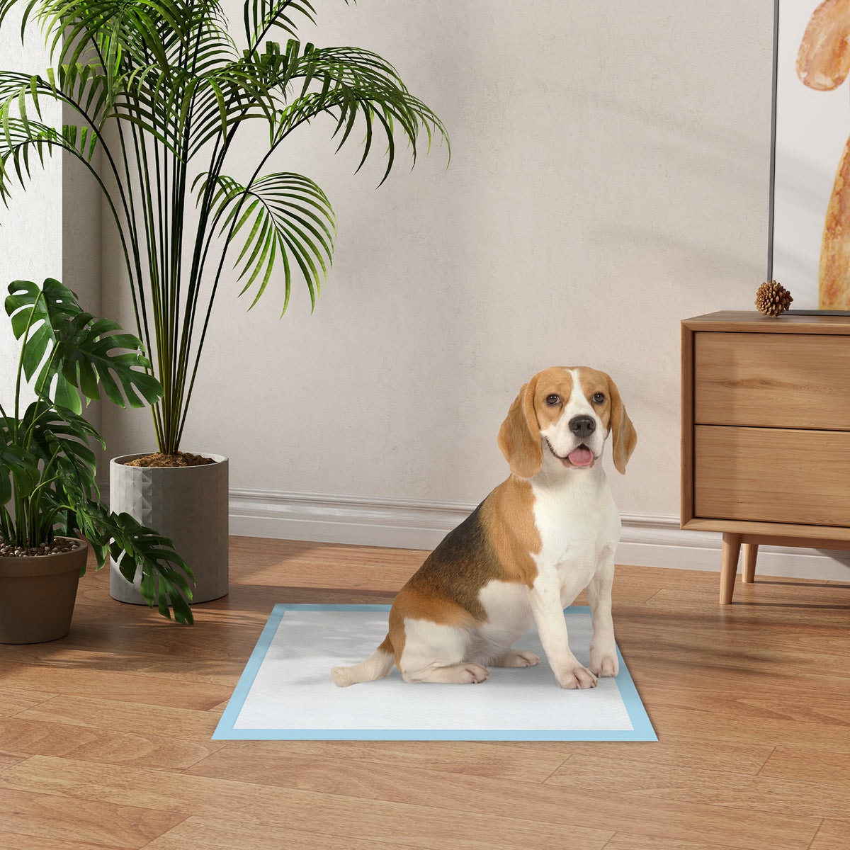 Lot de 80 tapis d'entraînement pour chien, étanche, 6 couches avec surface à séchage rapide, protection, 60 x 60 cm-9