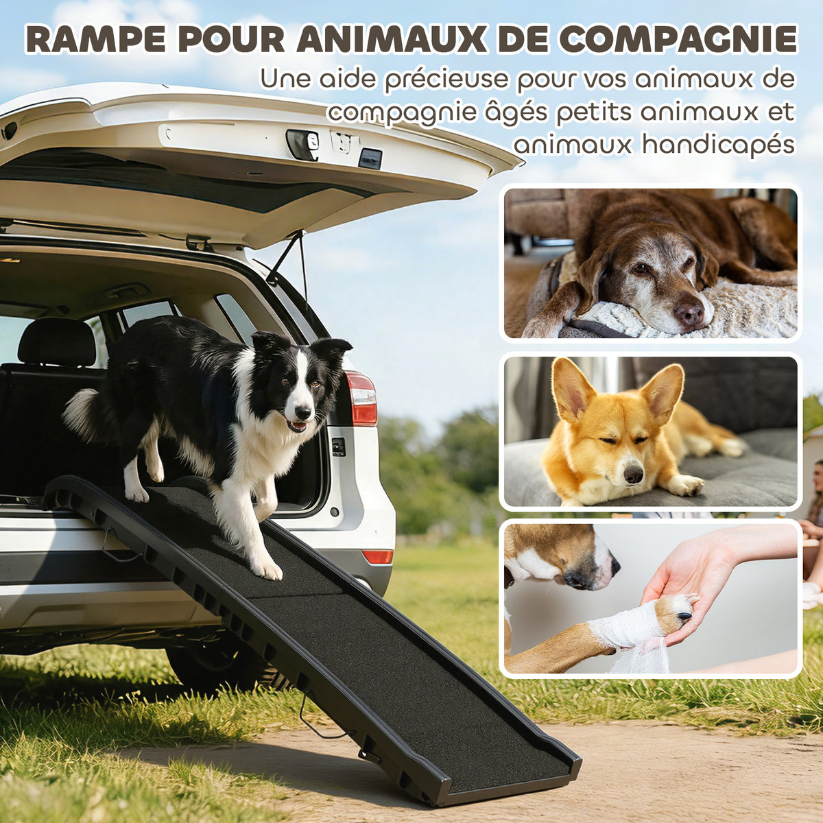 Rampe pliable pour chiens, escalier pour chien en PP avec pente douce et surface antidérapante, 155x38,5x15,5cm, noir-3