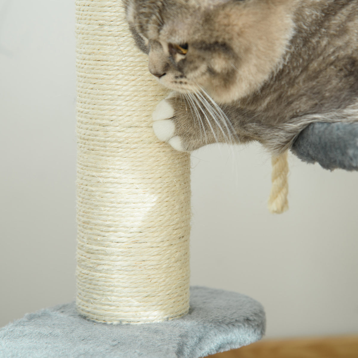 Arbre à chats 2 griffoirs grattoirs sisal naturel 3 plateformes corde à grimper dim. Ø 40 x 65H cm peluche haute densité 500 g/m² gris-8