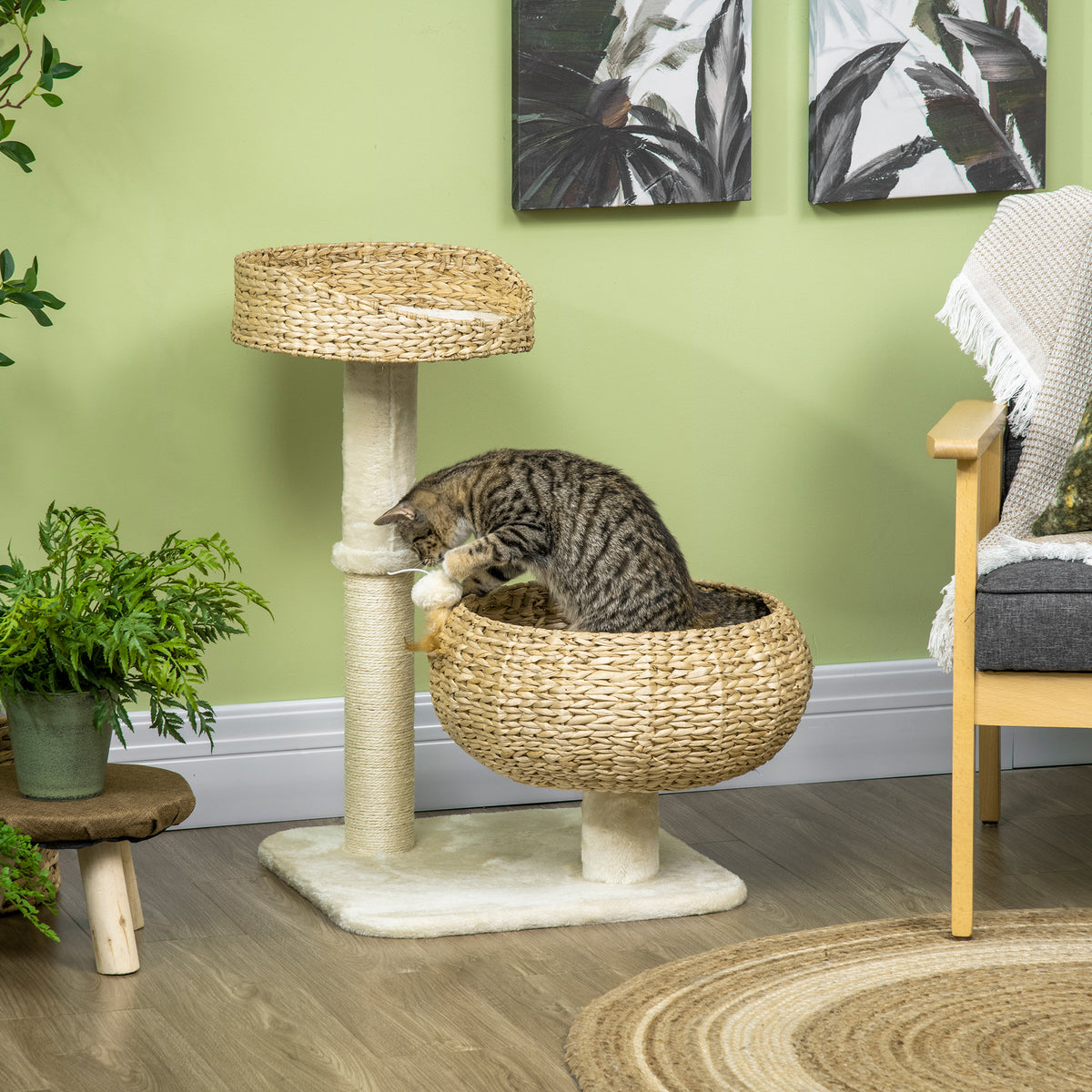 Arbre à chat griffoir 2 niveaux hauteur 72 cm poteau sisal avec niche et plateforme 1 balle suspendue-1