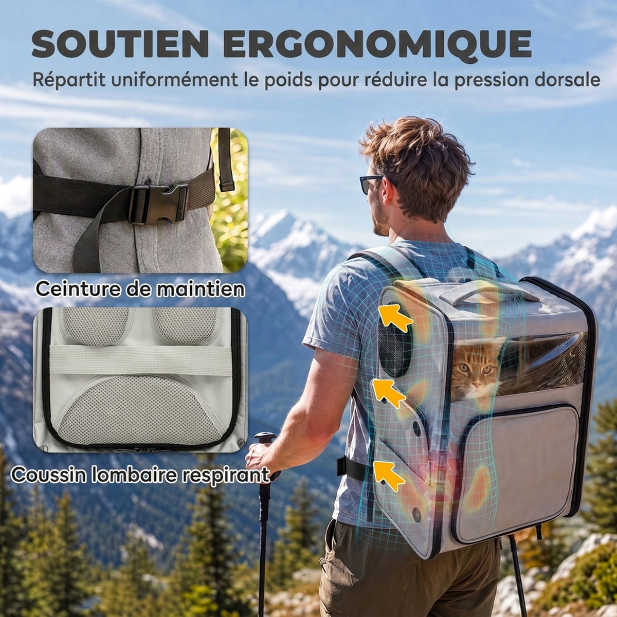 Sac de Transport pour Chat 2-en-1 à Roulettes Pliable Extensible Ventilé Soutien Lombaire Respirant 34x28x43cm Gris-4
