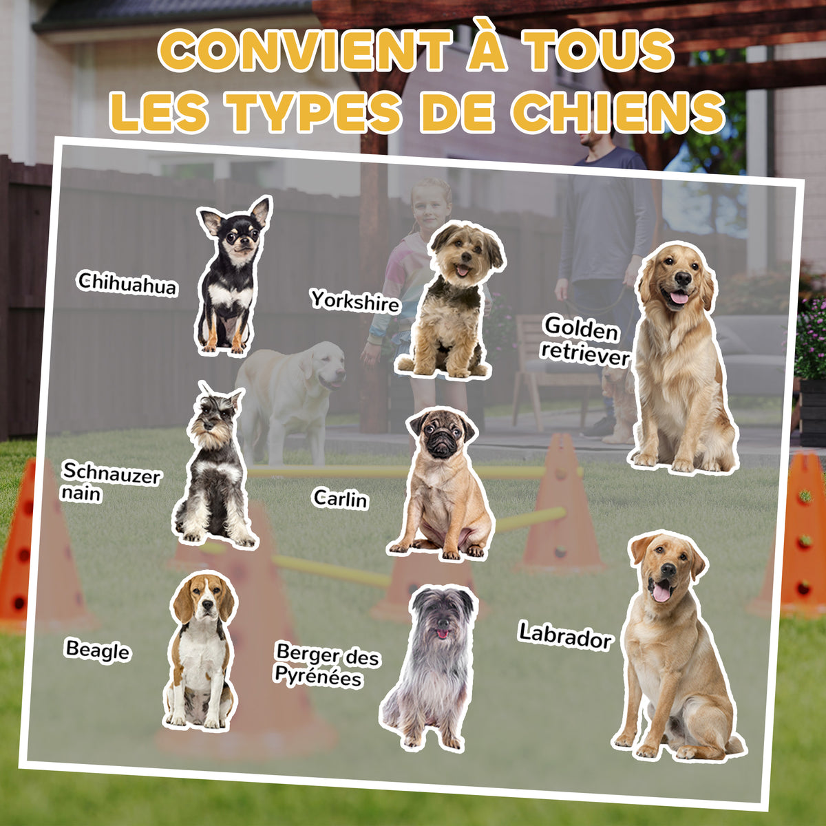Ensemble d'Agilité pour Chien 6 Pièce, Parcours d'Obstacle hauteur réglable avec Sac de Transport, Orange-7
