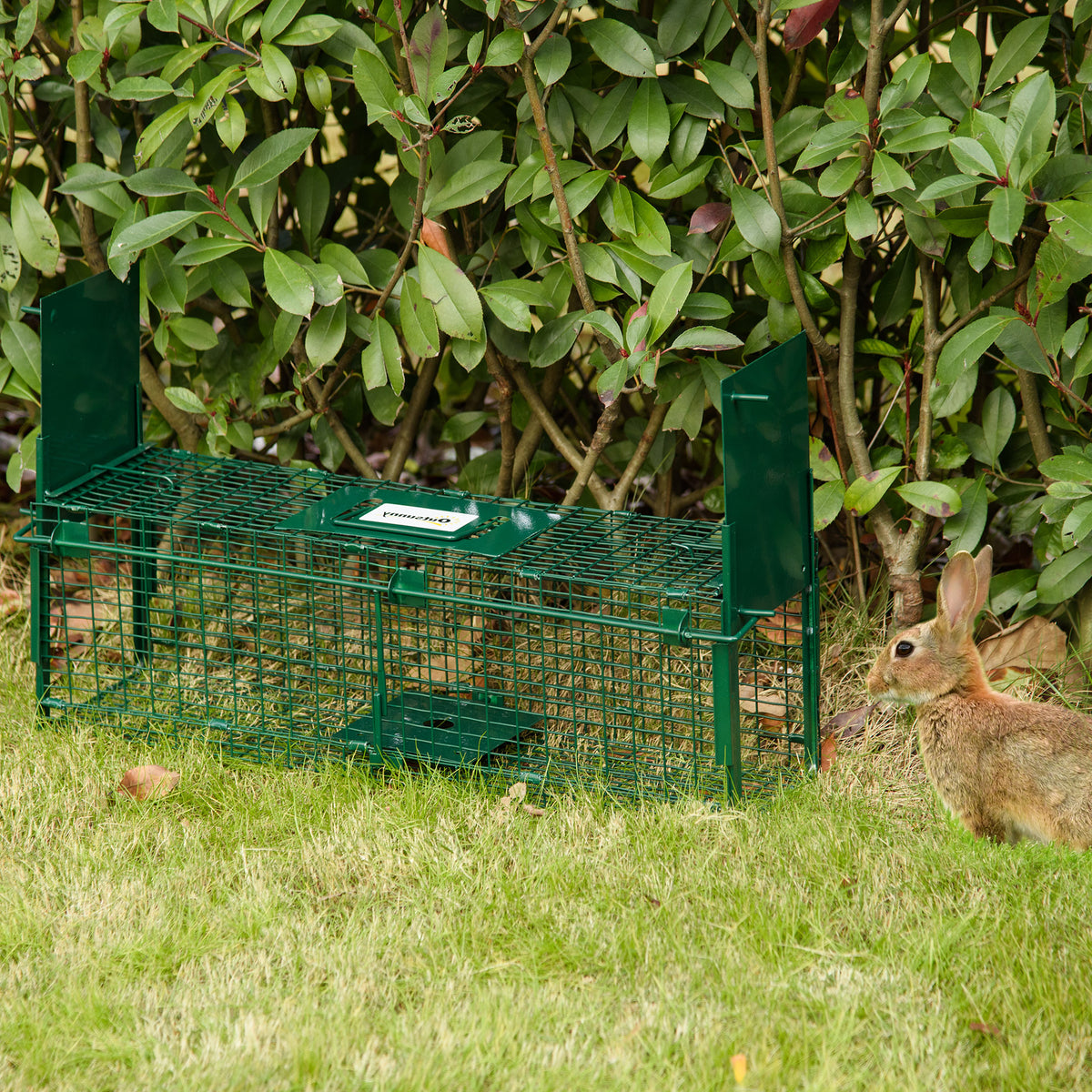 Piège Vivant Cage Attrape 60 x 18 x 20 cm Piège Fouine pour Martres, Rats, Souris - 2 entrées + poignée - métal vert-1