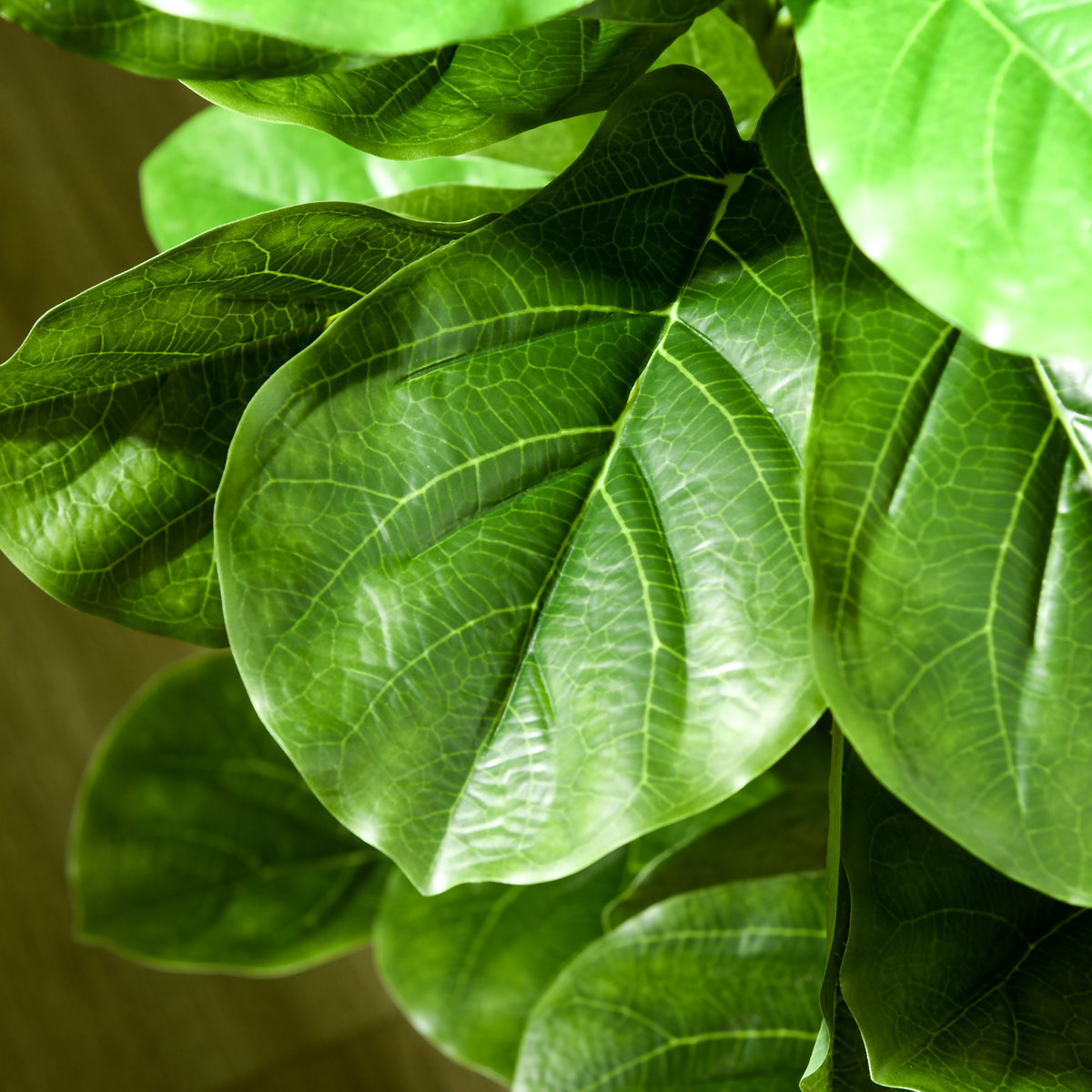 Lot de 2 plantes artificielles Figuier à feuilles de violon Ficus Lyrata hauteur 180cm avec Pot-7