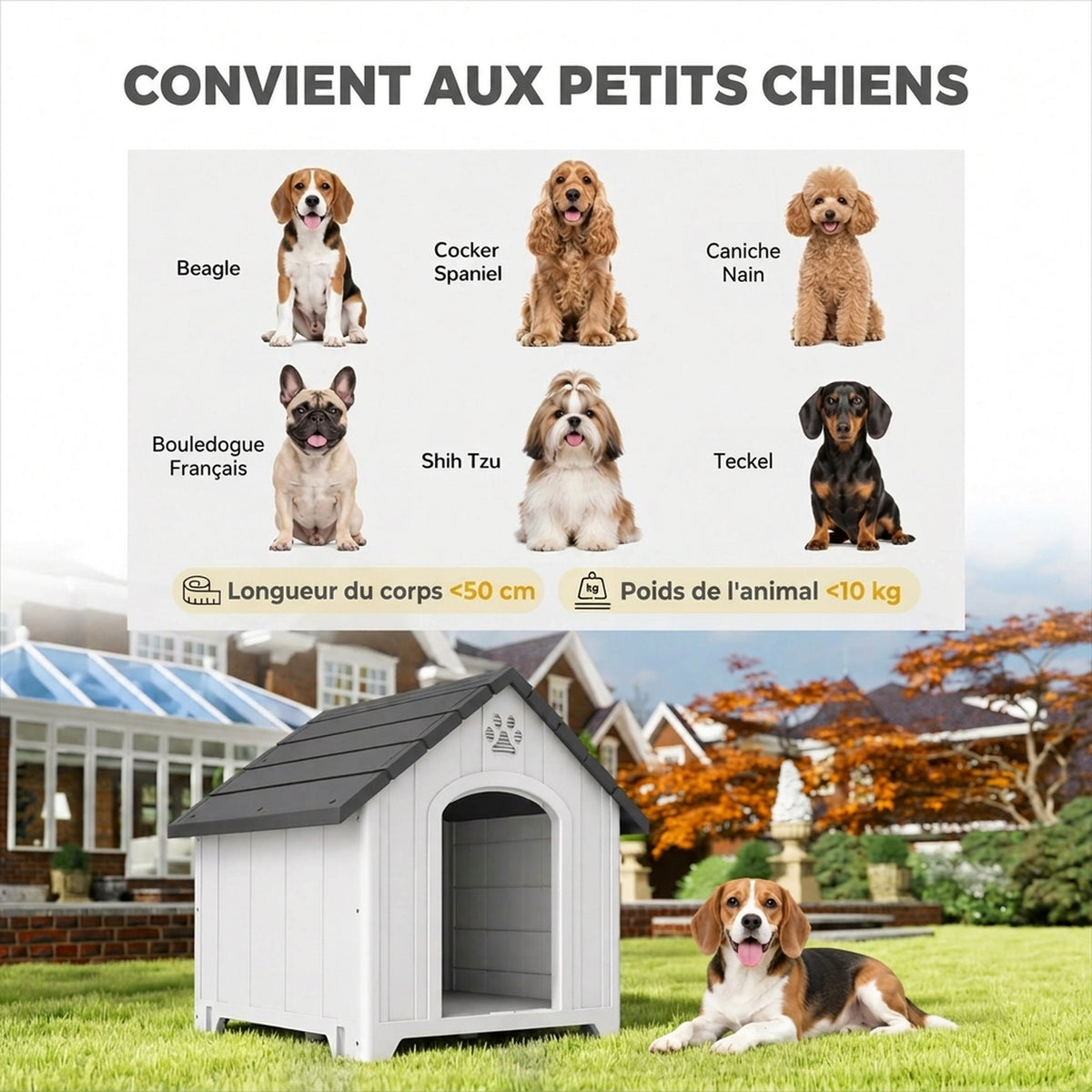 Niche pour chien extérieur, maison chien en polypropylène imperméable ventilé plancher surélevé 76x66x77cm gris clair-4