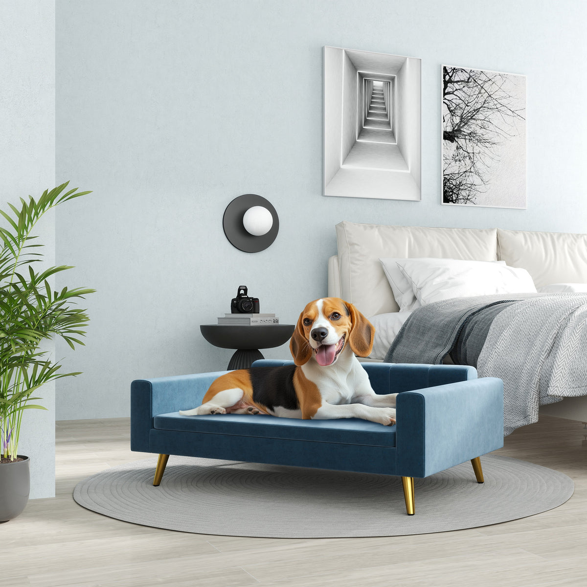 Canapé chien lit pour chien design scandinave coussin moelleux pieds métal doré 94 x 59,5 x 31,5 cm velours soyeux bleu-1