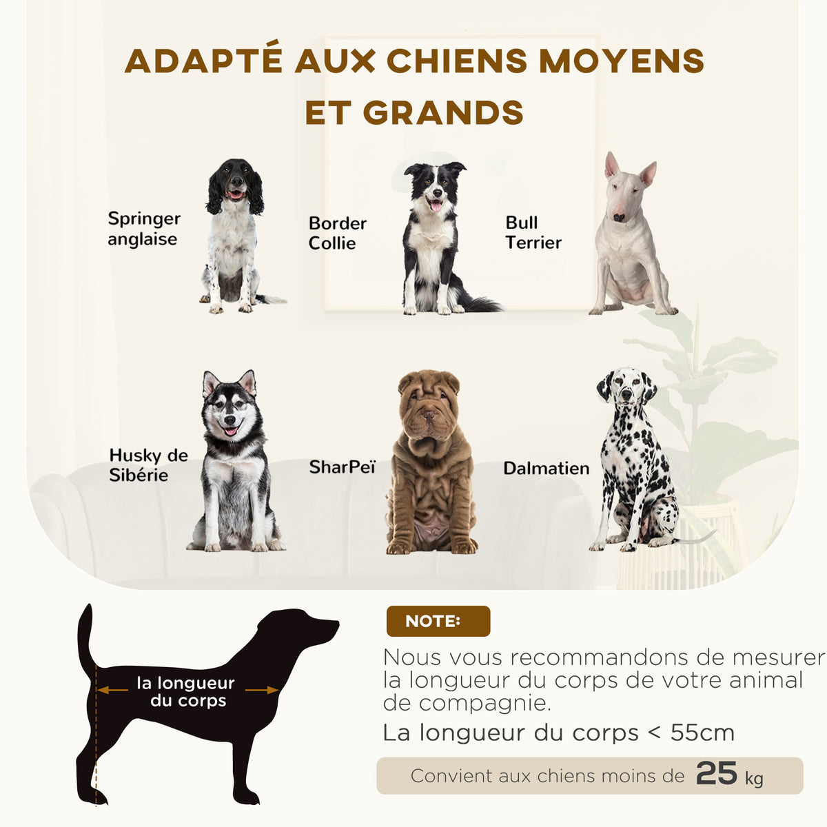 Canapé chien lit pour chien chat coquillage 98L x 60l x 35H cm coussin moelleux velours gris-3