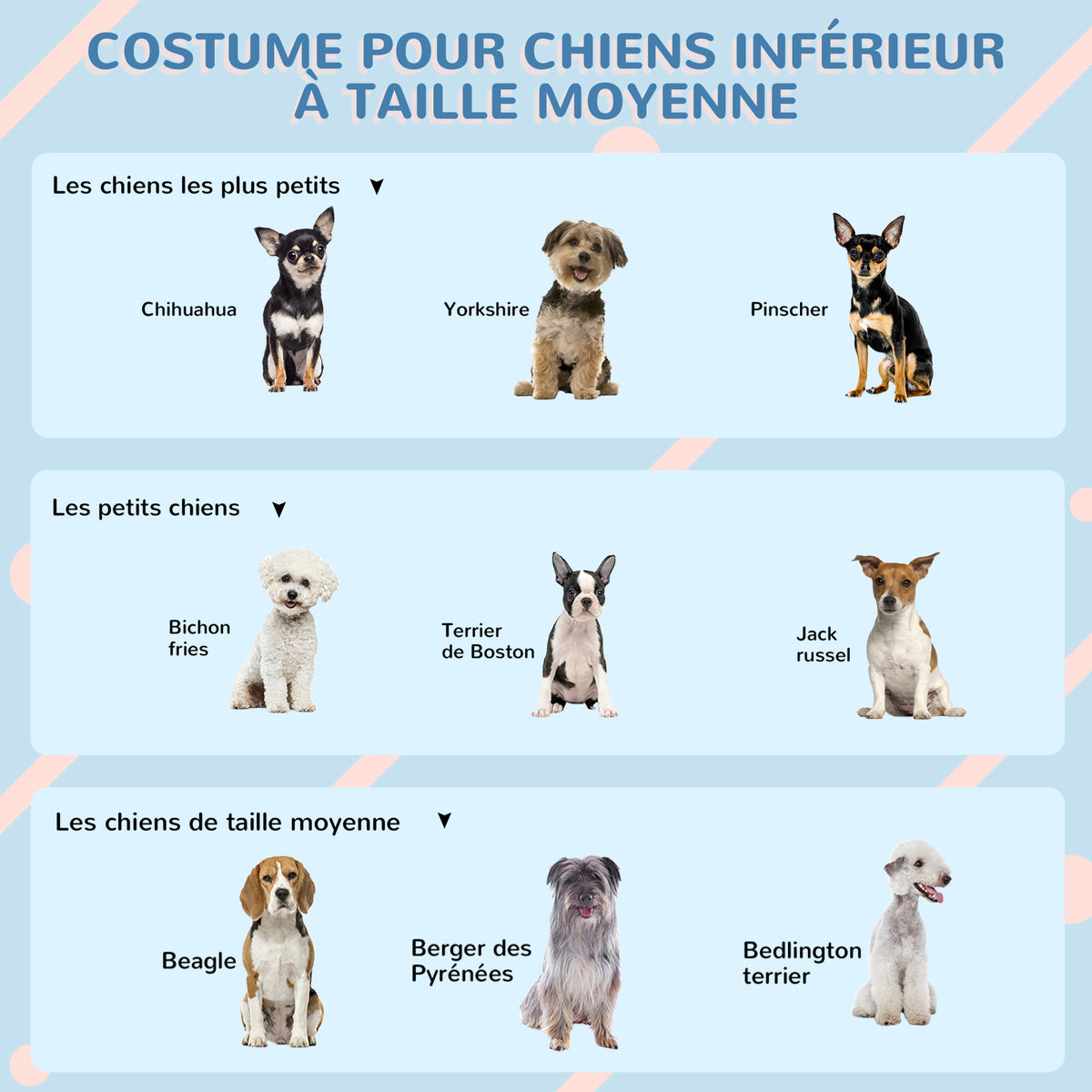 Niche pour Chien Extérieur pour Chiens Moyens et Grands, Maison pour Chien en PP Imperméable avec Toit en Pente, Porte Avant Ouverte et Ouverture d'Aération au-Dessus, 65 x 75,7 x 63 cm, Gris-6