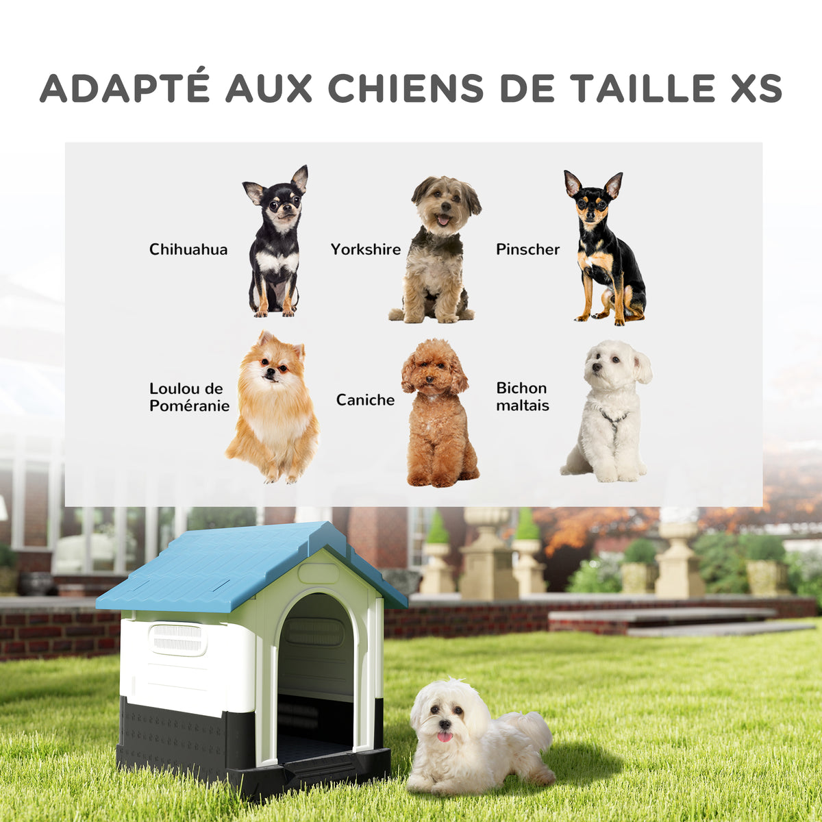 Niche pour chien chenil à l'extérieur pour chiens de petite et moyenne taille 64,5 x 57 x 66 cm blanc et bleu-3