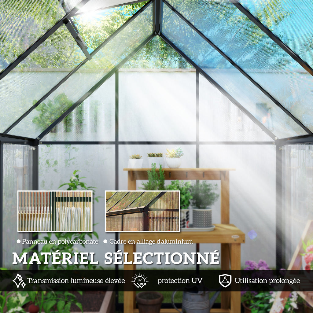 Serre de Jardin en Aluminium Polycarbonate, Montage Rapide, Fenêtre Réglable, Porte Battante, 178x168x195cm, Transparent-4