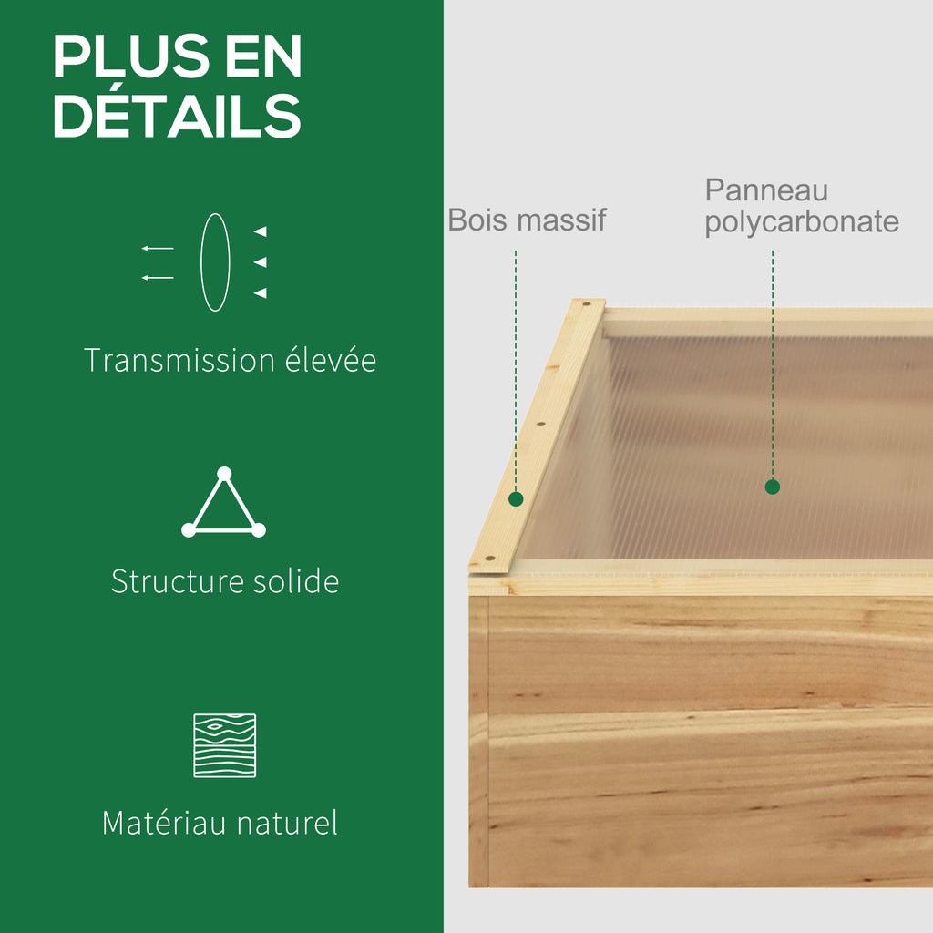 Mini Serre de Jardin Serre pour semis dim. 100L x 50l x 36H cm Toit 2 pans ouvrables séparemment Panneaux de Polycarbonate Bois Sapin pré-huilé-5
