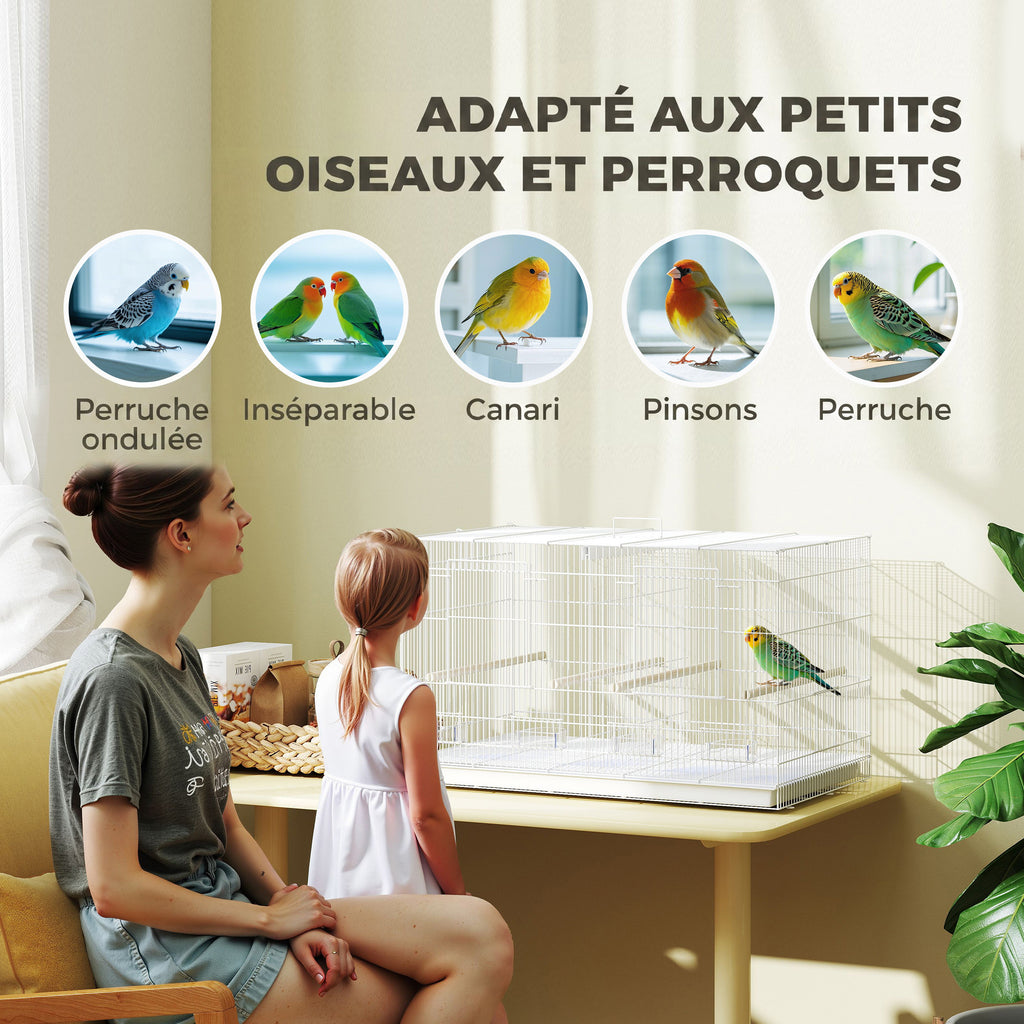 Cage à Oiseaux Volière Intérieur Acier avec Séparateur, 4 Perchoirs, Plateau Coulissant, 4 Mangeoires, 76x46x46cm, Blanc-7