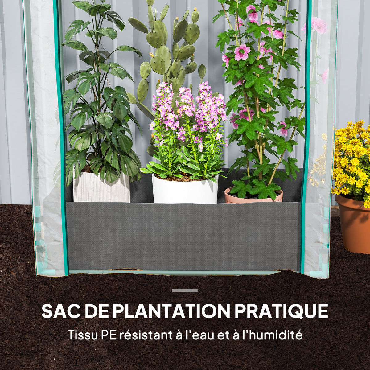 Mini serre de jardin serre balcon avec sac de plantation et housse en plastique renforcé, porte enroulable, transparente-4