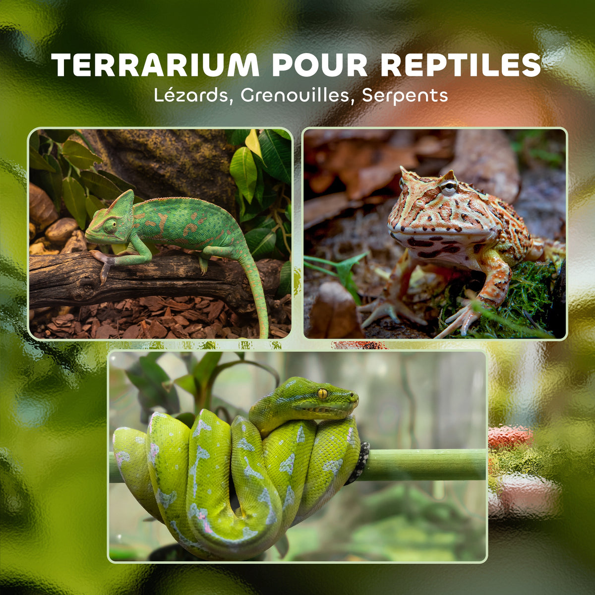 Terrarium en verre pour reptiles vivarium 12 L avec couvercle en treillis métallique, 20 x 20 x 30 cm, noir-3