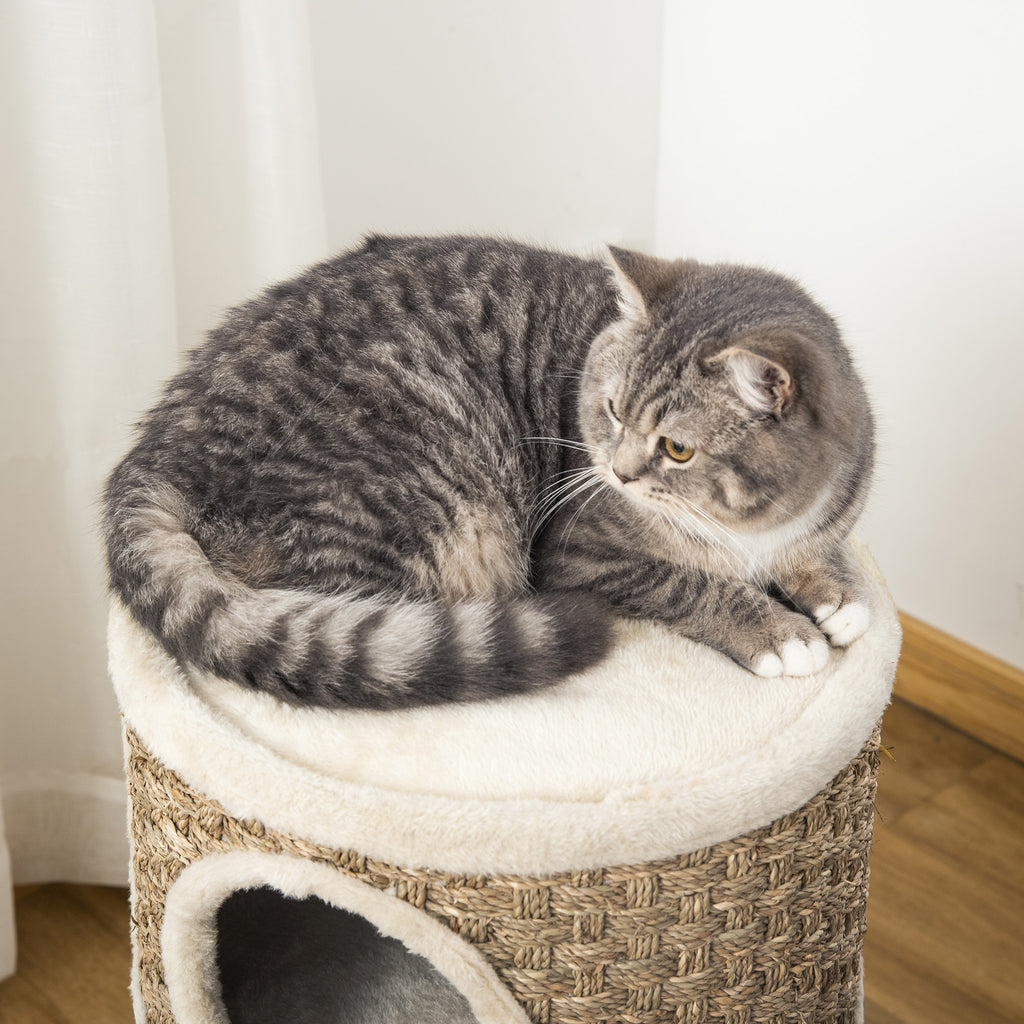 Tonneau à Gratter pour Chat, Arbre à Chat Sisal Naturel et Herbiers Marins Recouvert de Peluche, 37,5 x 37,5 x 70 cm, Kaki et Café-7