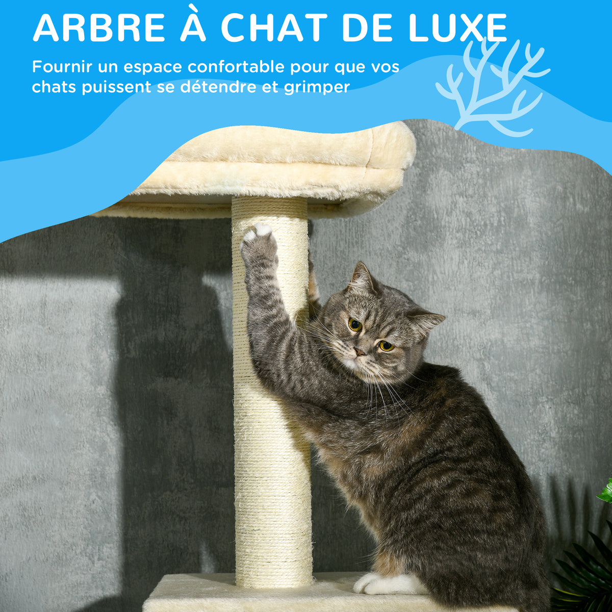 Arbre à chats poteau à griffer hauteur réglable dim. 440L x 31P x 240 - 270H cm 4 niveaux d'activités avec niche-3