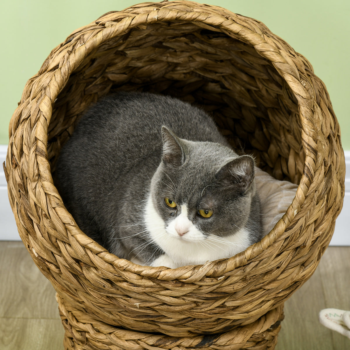 Panier chat lit surélevé chat cosy niche grotte à chat grand confort dim. 40L x 37l x 51H cm coussin moelleux beige inclus-7