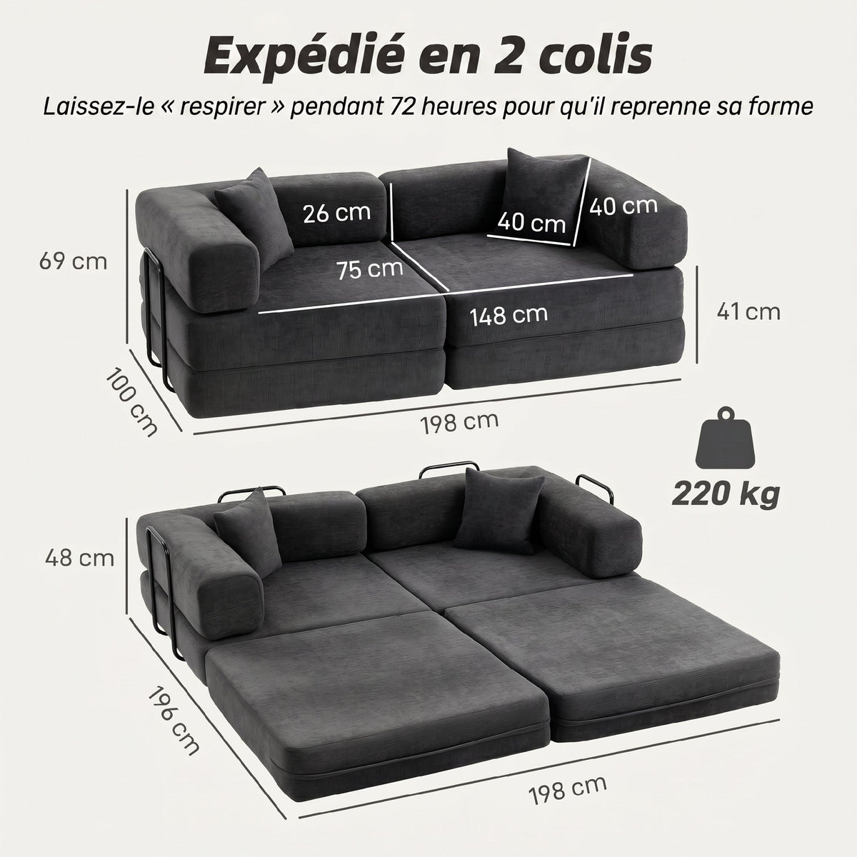 Canapé Convertible 2 Places, Canapé-Lit en Chenille 198 cm, Assise et Accoudoirs Larges, 2 Coussins, Gris Foncé-2