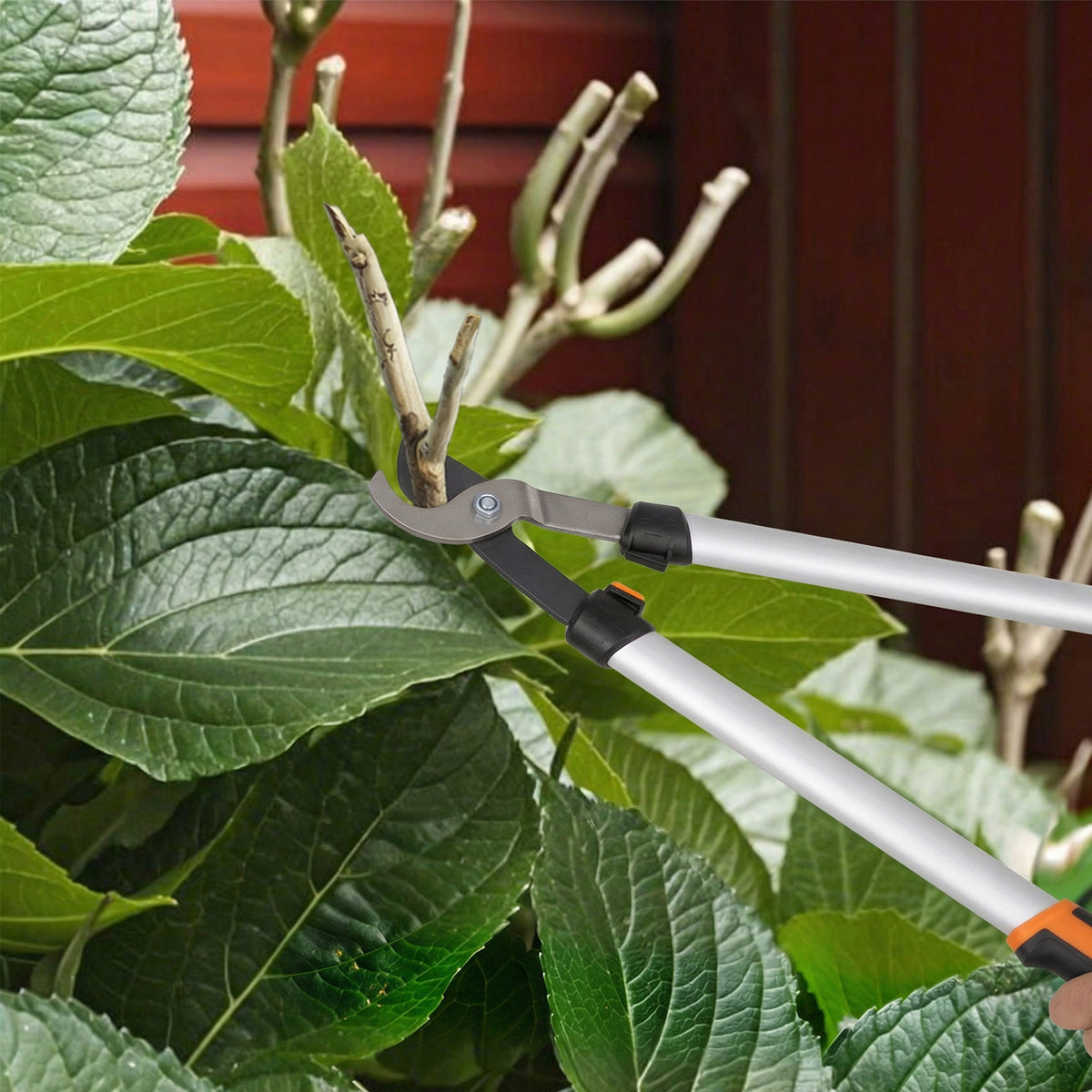 Ensemble de 4 cisailles de jardin avec taille-haies, ébrancheurs, sécateurs et scie pliable, poignée en aluminium-8