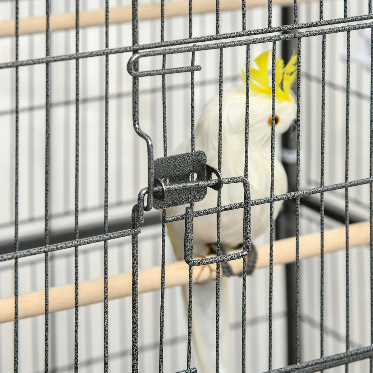 Cage à oiseaux sur pied volière oiseaux intérieur 4 perchoirs en bois et mangeoires fil d'acier gris foncé-7