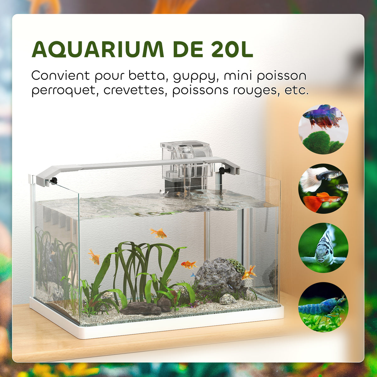 Aquarium en verre avec lumières LED aquarium de 20L pompe à filtre 38 x 26 x 27 cm blanc-5