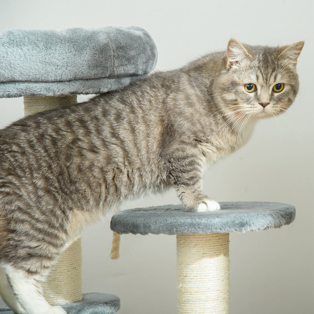 Arbre à chats 2 griffoirs grattoirs sisal naturel 3 plateformes corde à grimper dim. Ø 40 x 65H cm peluche haute densité 500 g/m² gris-7