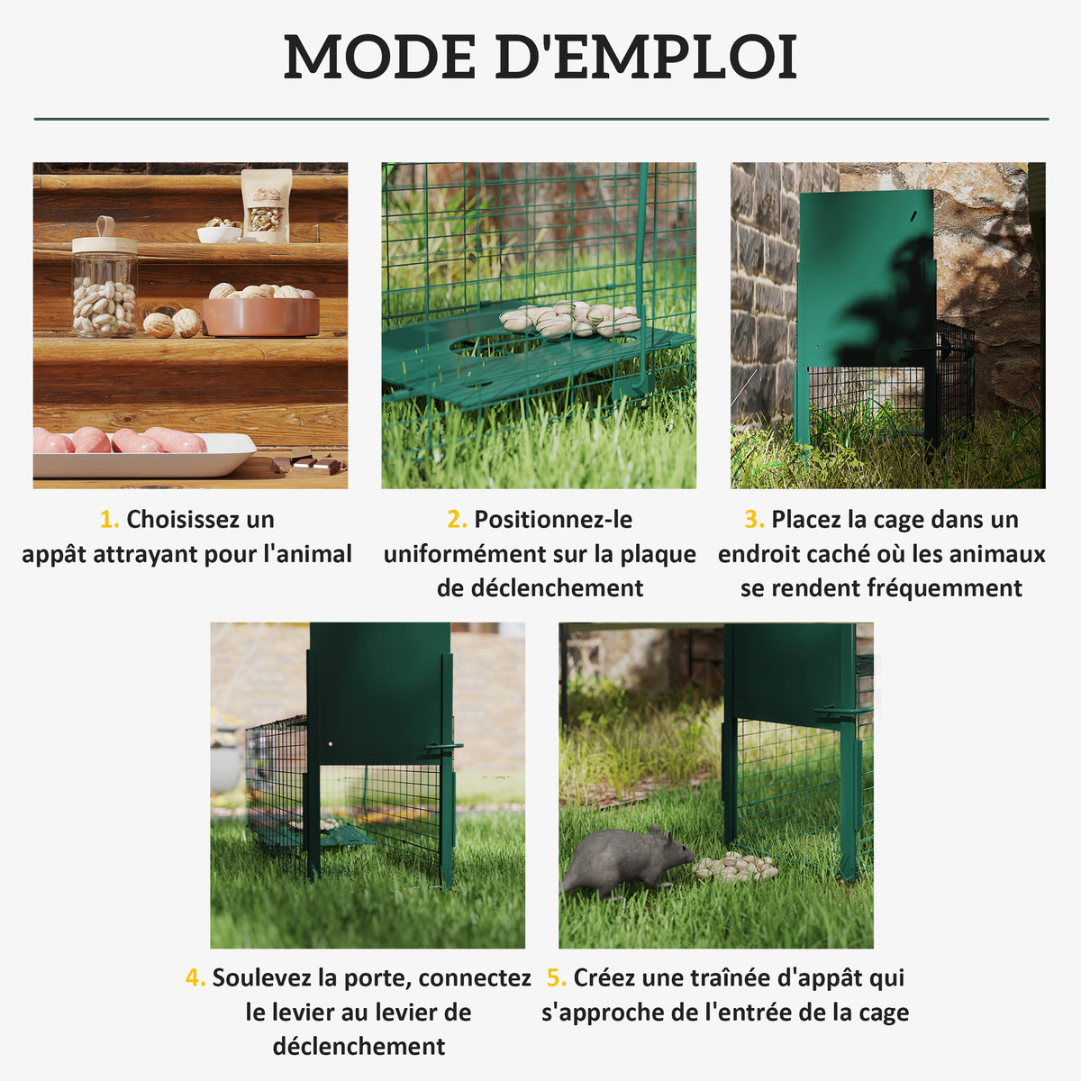 Cage attrape animaux nuisibles 1 entrée dim. 80L x 25l x 30H cm vert foncé-3