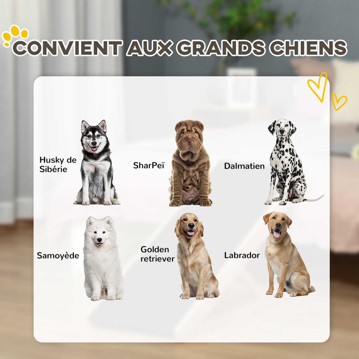 Rampe pour chien de grande taille pliable, escalier pour chien canapé avec hauteur ajustable 26-61 cm, noir-6