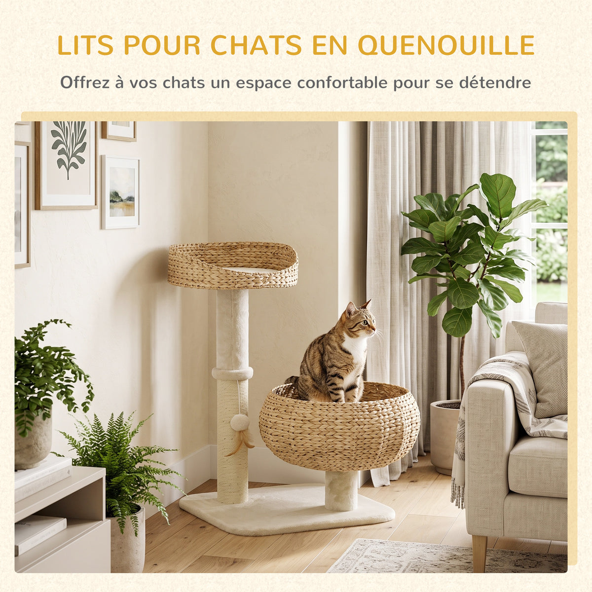 Arbre à chat griffoir 2 niveaux hauteur 72 cm poteau sisal avec niche et plateforme 1 balle suspendue-3