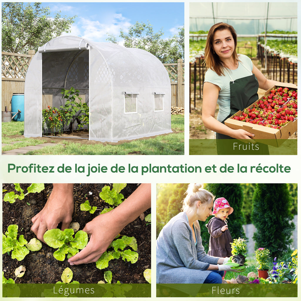 Serre de Jardin Tunnel 6 m² 3L x 2l x 1,9H m Acier galvanisé renforcé diamètre 2,4 cm + PE Haute densité fenêtres Porte Blanc-6