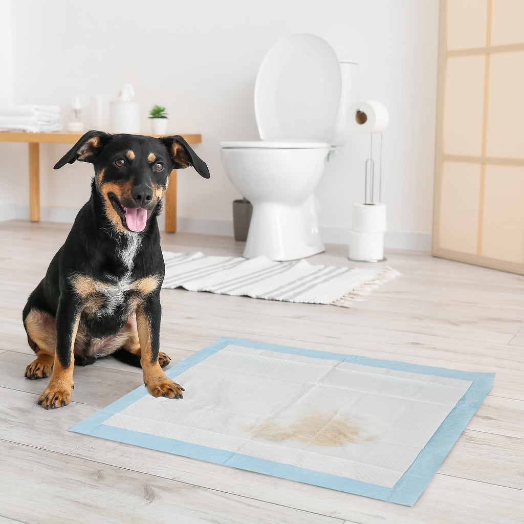 Lot de 80 tapis d'entraînement pour chien, étanche, 6 couches avec surface à séchage rapide, protection, 60 x 60 cm-1