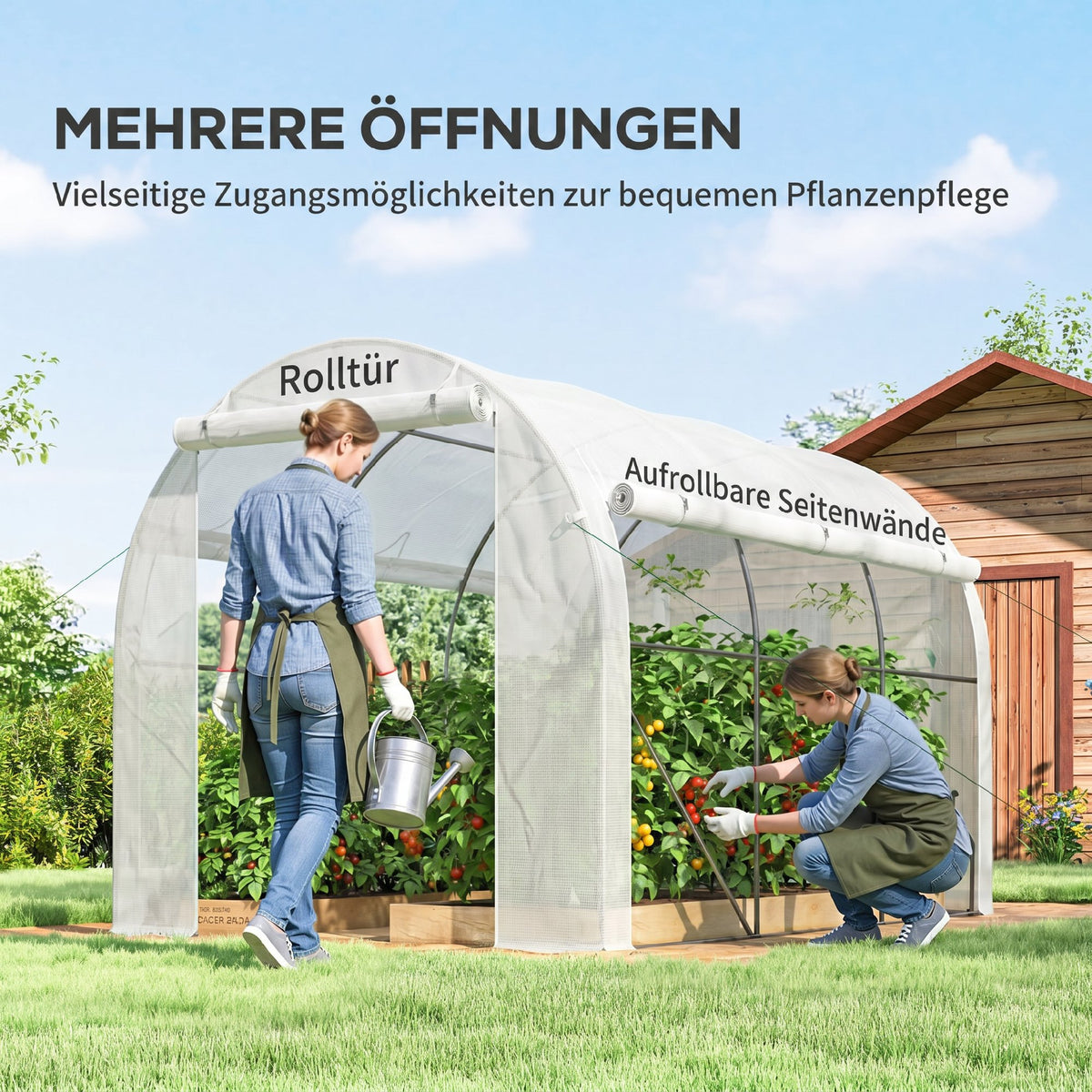Serre de jardin 6 m² dim. 3 x 2 m avec 1 porte + 2 parois latérales zippées enroulables, 6 fenêtres, Blanc-4