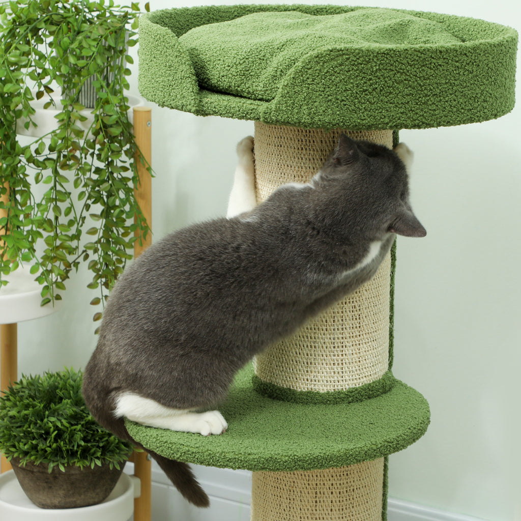 Arbre à Chat avec Griffoir, Centre d'Activités, Plateformes, Coussin, 45 x 45 x 91 cm, Vert et Beige-7