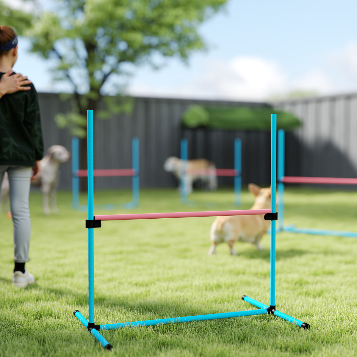 Agility Sport pour Chiens, Set de 4 Obstacles Professionnels avec Système de Maintien au Sol, 99x65x94cm, Bleu Clair-8