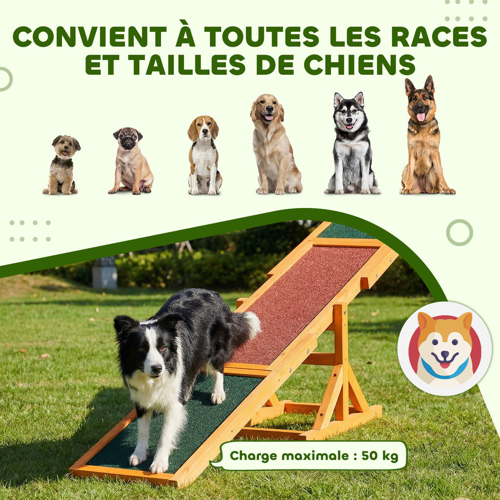 Agility sport pour chien bascule - bascule pour chien - équipement entrainement chien - bois pré-huilé feutre-7