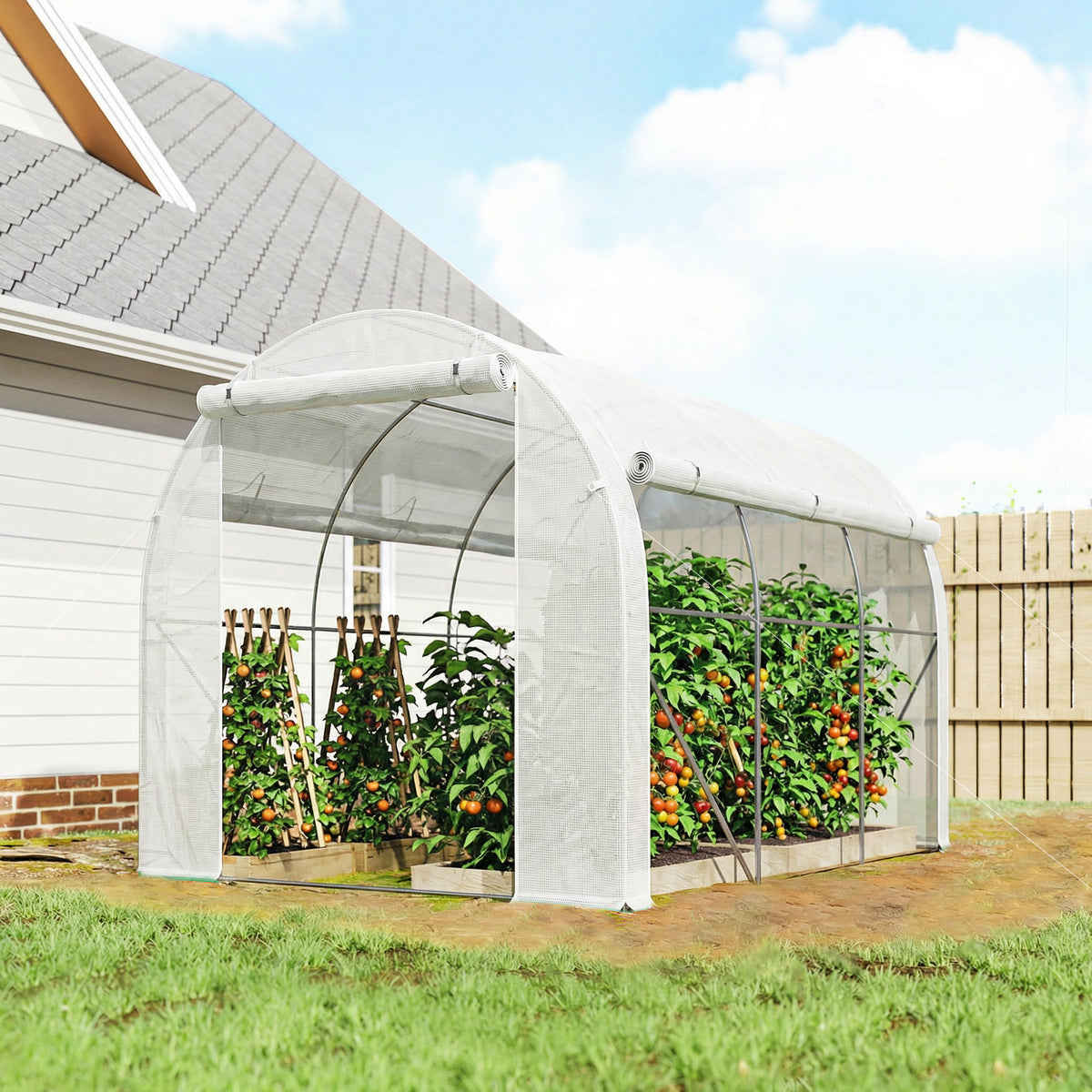 Serre de jardin 6 m² dim. 3 x 2 m avec 1 porte + 2 parois latérales zippées enroulables, 6 fenêtres, Blanc-1