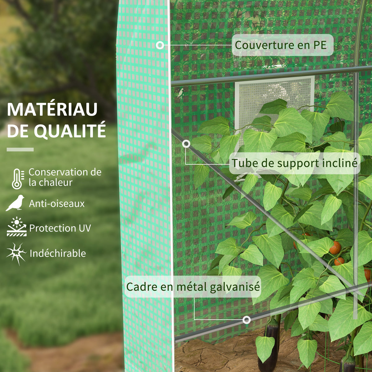 Serre de Jardin Tunnel Surface Sol 8 m² 4L x 2l x 2,05H m châssis Tubulaire Porte zippée 6 fenêtres enroulables vert-3