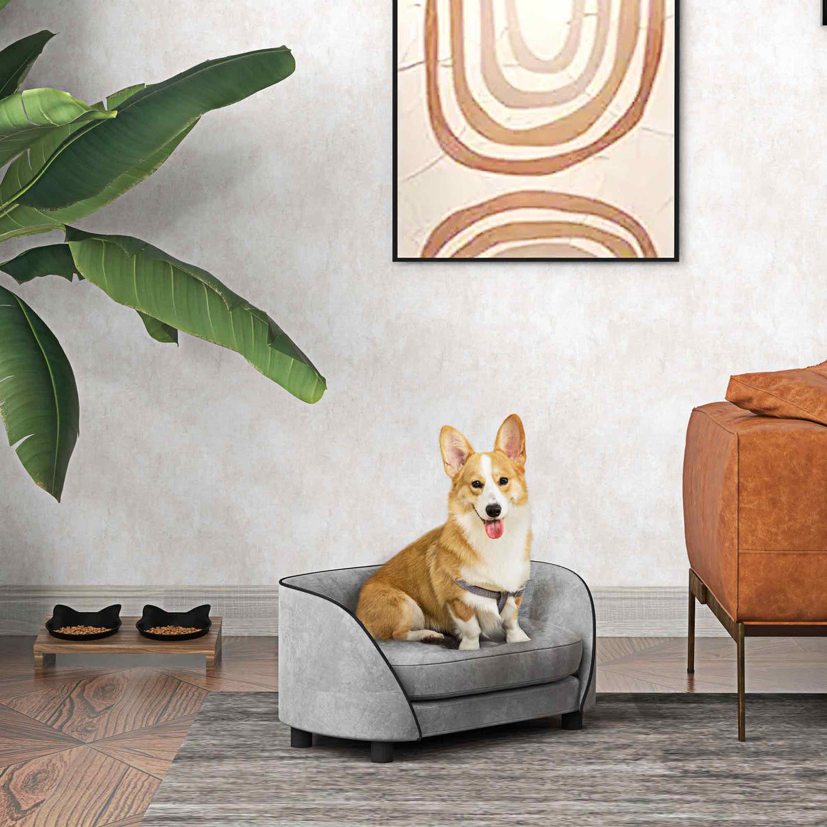 Canapé pour chien avec coussin doux housse amovible et lavable revêtement en velours néerlandais gris-1