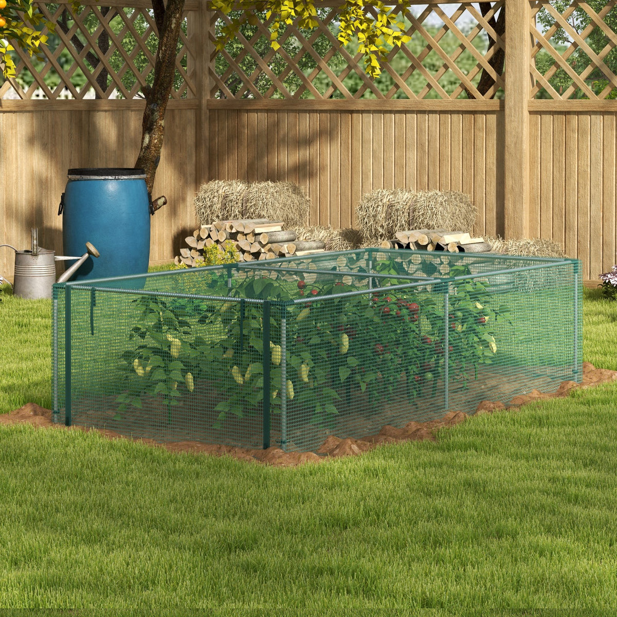 Serre de jardin serre à tomates filet protection porte zippée enroulable HDPE, dim. 125L x 248l x 62,5H cm-1