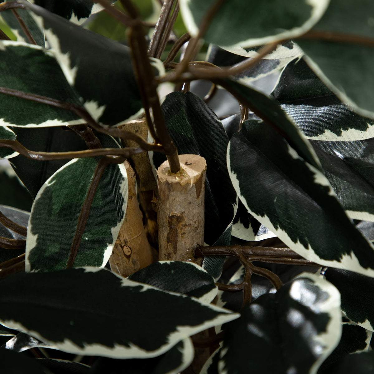 Plante artificielle ficus tronc branches liane lichen feuilles grand réalisme pot inclus hauteur 1,3 m-6