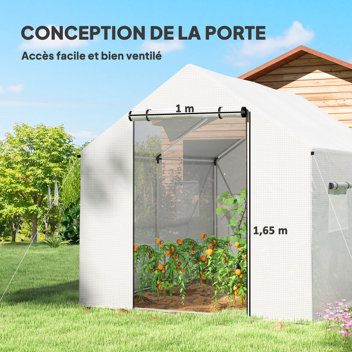 Serre de jardin tunnel 2 x 3m, 6m² avec porte enroulable, 4 fenêtres, - Acier galvanisé PE Haute densité Blanc-4